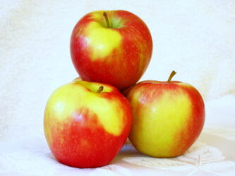 Honeycrisp apple variety photograph