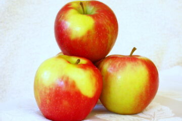 Honeycrisp apple variety photograph