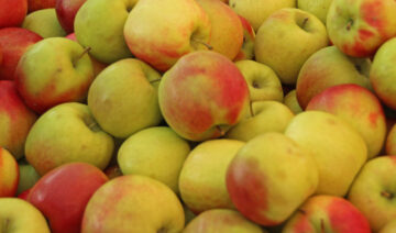 Pink Lady apples with red and yellow skin