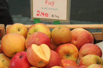 Fuji apple variety photograph