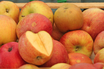 Fuji apple variety photograph