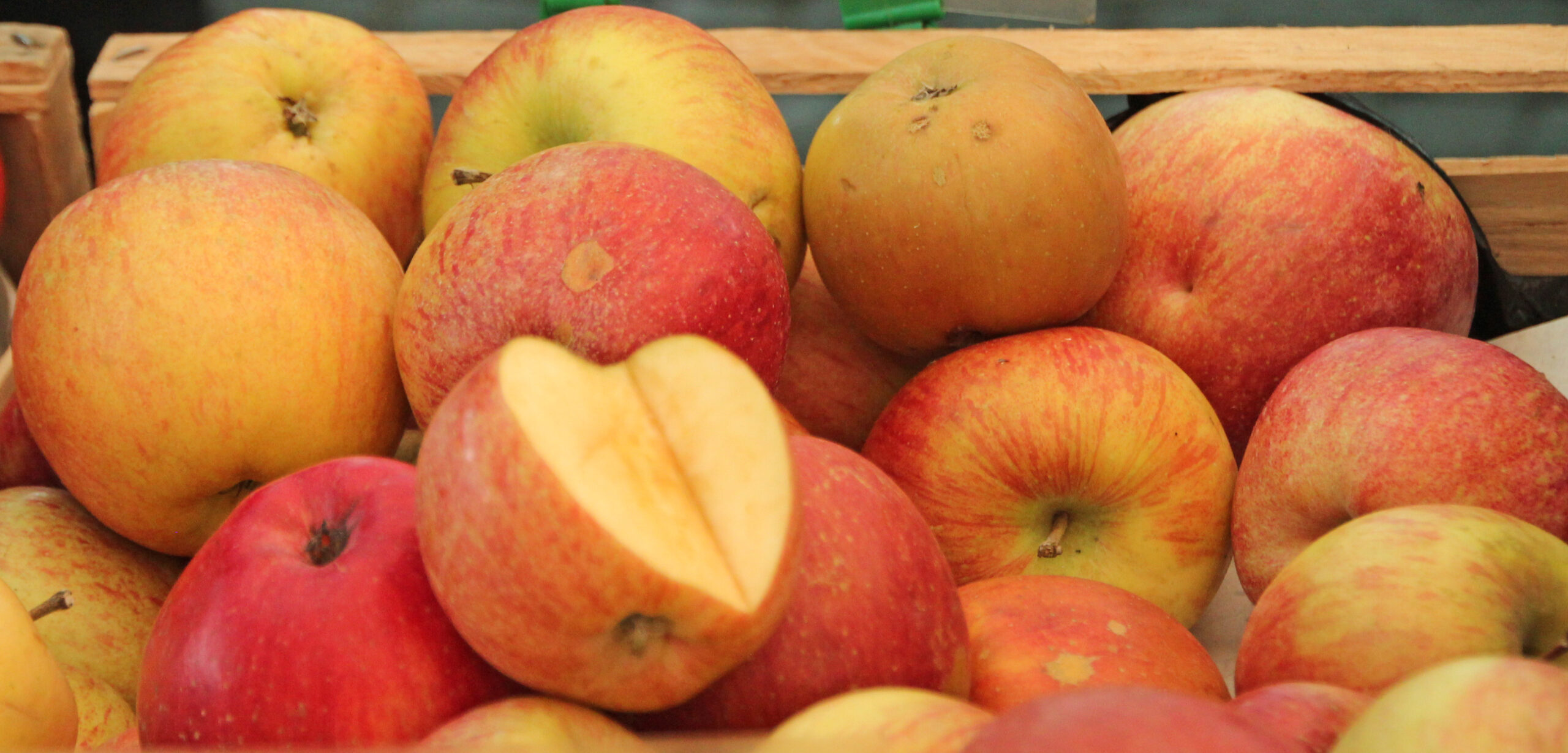 Fuji apple variety photograph