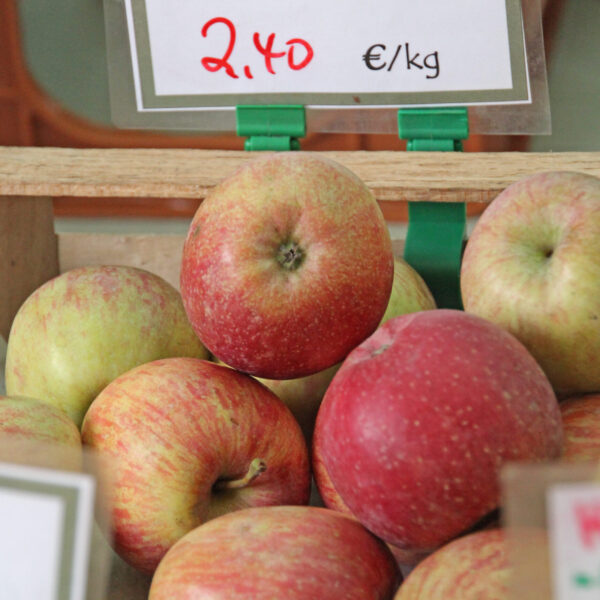 Fuji apple variety photograph