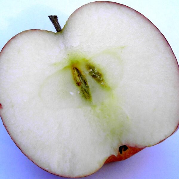 Red Delicious apple cross section
