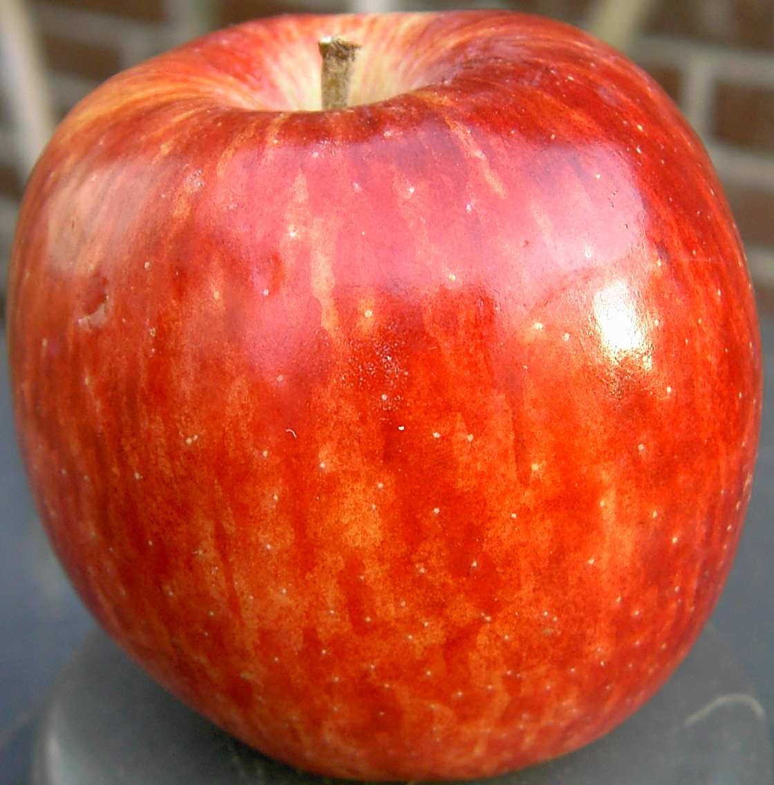 Fresh Red Delicious apples selected for wholesale supply