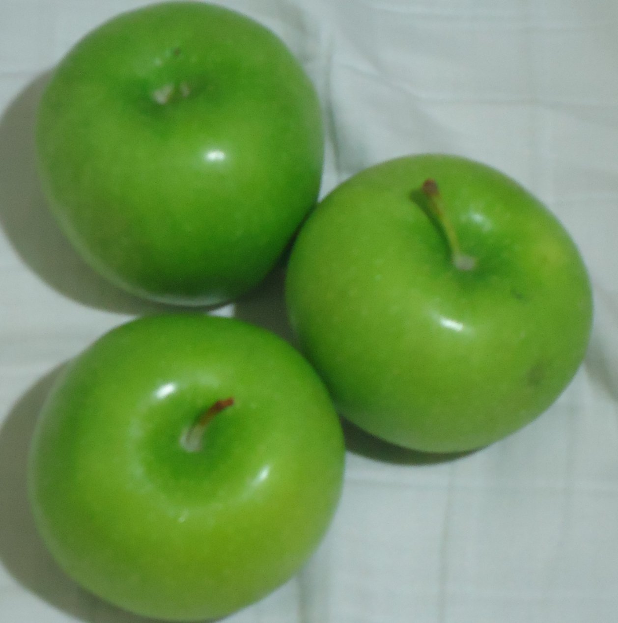 Granny Smith apple variety photograph