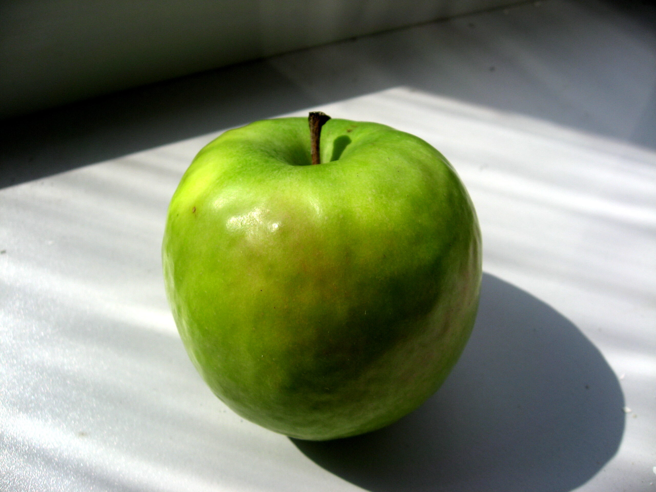 Granny Smith apple variety photograph