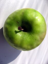 Fresh green Granny Smith apples