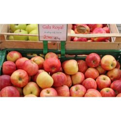Fresh red and yellow Royal Gala apples