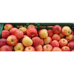 Fresh Royal Gala apples
