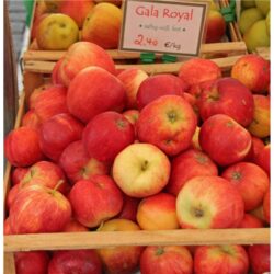 Fresh Royal Gala apples