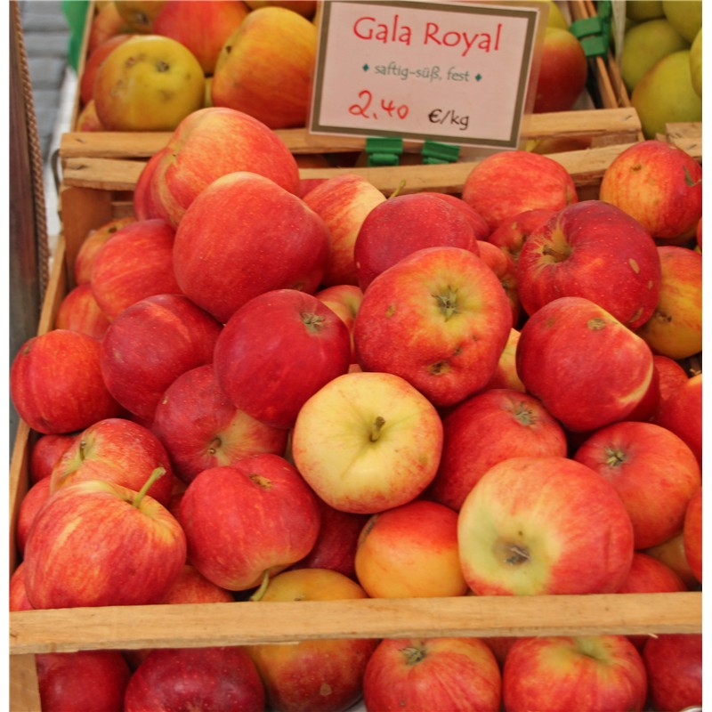 Fresh Royal Gala apples