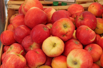 Royal Gala apples for wholesale fruit supply