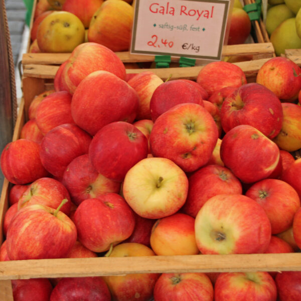 Royal Gala apples for wholesale fruit supply